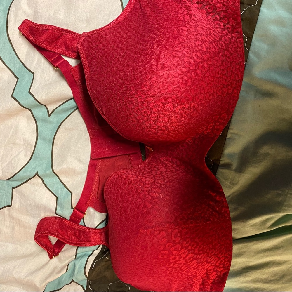 Ashley Stewart butterfly bra